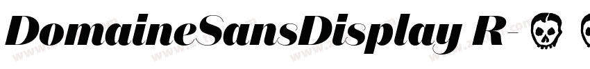 DomaineSansDisplay R字体转换